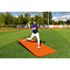 Picture of Portolite Standard One Piece Game Mounds