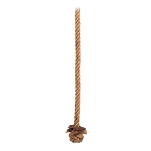 Picture of Porter Climbing Ropes