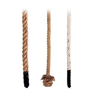 Picture of Porter Climbing Ropes