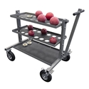 Picture of Gill International Carts