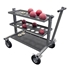 Picture of Gill International Carts