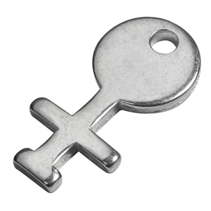 Picture of Porter Blank Cover Removal Key