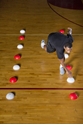 Picture of Gill Powermax Agility Domes