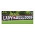 Picture of Gill Tuffy Windscreen