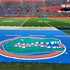 Picture of Putterman Grass-Shield Football Sideline Guardian