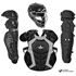 Picture of All-Star Classic Pro 16.5" Adult Catching Kit