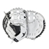 Picture of All-Star PHX Softball Catcher's Mitts