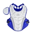 Picture of All-Star Empress Fastpitch Softball Series Catching Kits