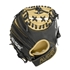Picture of All-Star The Pocket 27" Training Mitt