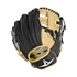 Picture of All-Star The Pick Fielder's Training Glove