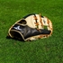 Picture of All-Star The Anvil Weighted Fielding Glove