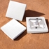 Picture of MacGregor Professional Bases with Anchors