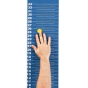 Picture of Gamecraft Magnetic Jump & Reach Board