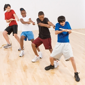 Picture of US Games 50' Economy Tug-O-War Rope