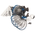 Picture of BSN Volley-Racket Class Pack