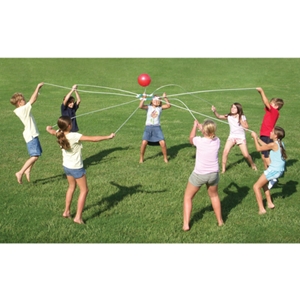 Picture of Teamwebs Game