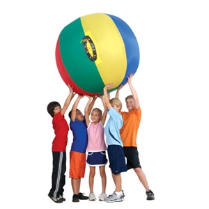 Picture of US Games Complete Nylon Cageballs