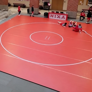 Picture of Dollamur Wrestling Mats