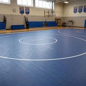 Picture of Dollamur Flexi-Connect Wrestling Mats