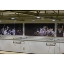 Picture of Gared Three-Point Stationary Wall Mount Packages with Glass Backboard