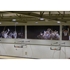 Picture of Gared Three-Point Stationary Wall Mount Packages with Glass Backboard