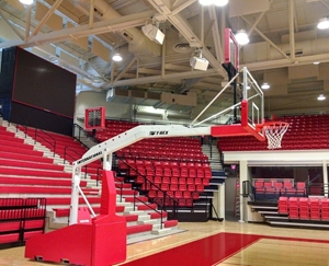 Picture of Bison T-Rex International Automatic Competition Portable Basketball System